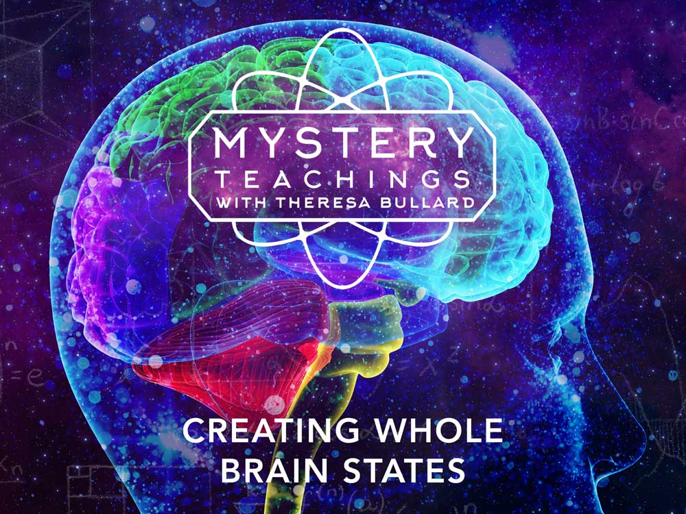 183185_MT_s2e9_Creating-Whole-Brain-States_4x3