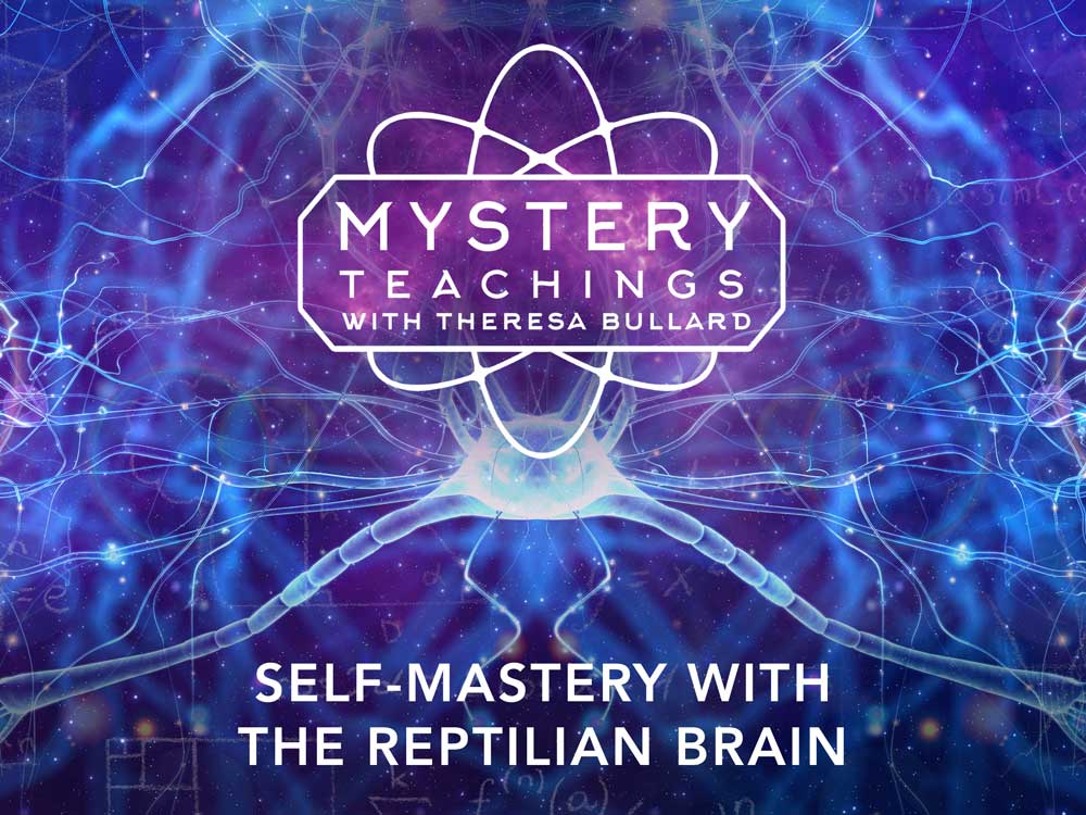 183561_MT_s2e12_Self-Mastery-with-the-Reptilian-Brain_4x3